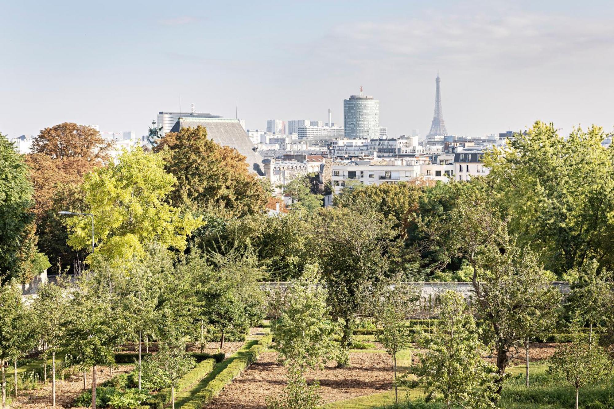 Domaine Reine Margot Paris - Issy Mgallery Collection Dış mekan fotoğraf